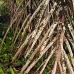 nusalavu_v_0705_0056.jpg